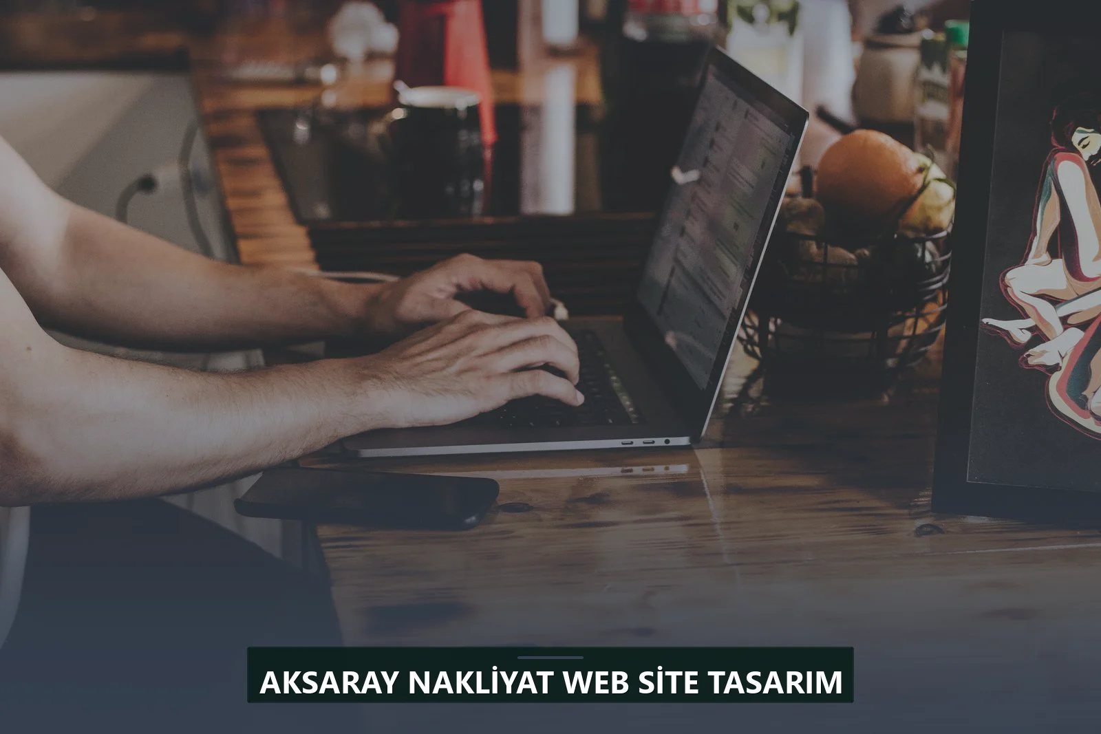 Aksaray Nakliyat Web Site Tasarım