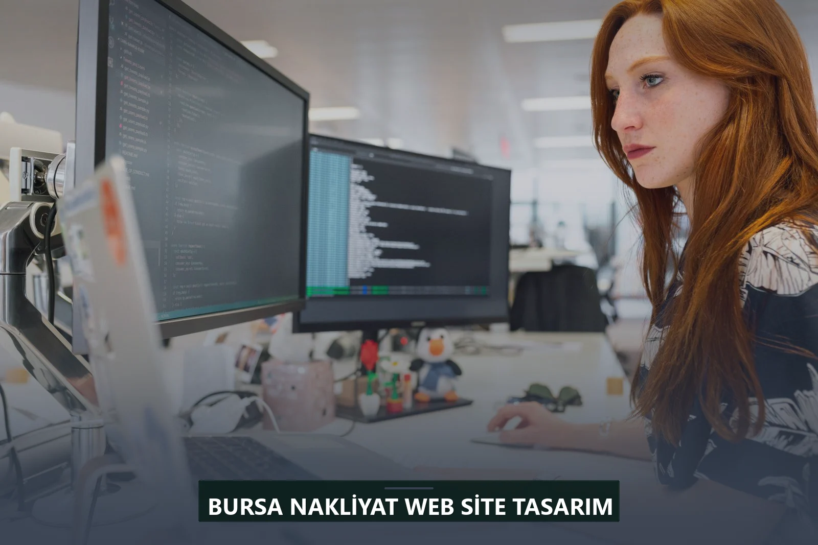 Bursa Nakliyat Web Site Tasarım