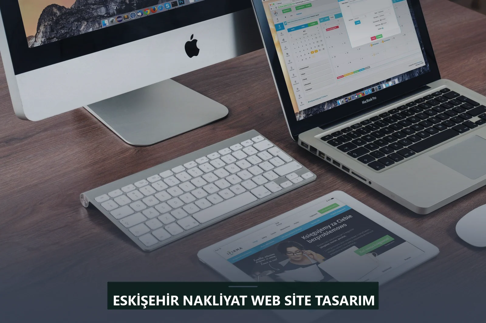 Eskişehir Nakliyat Web Site Tasarım