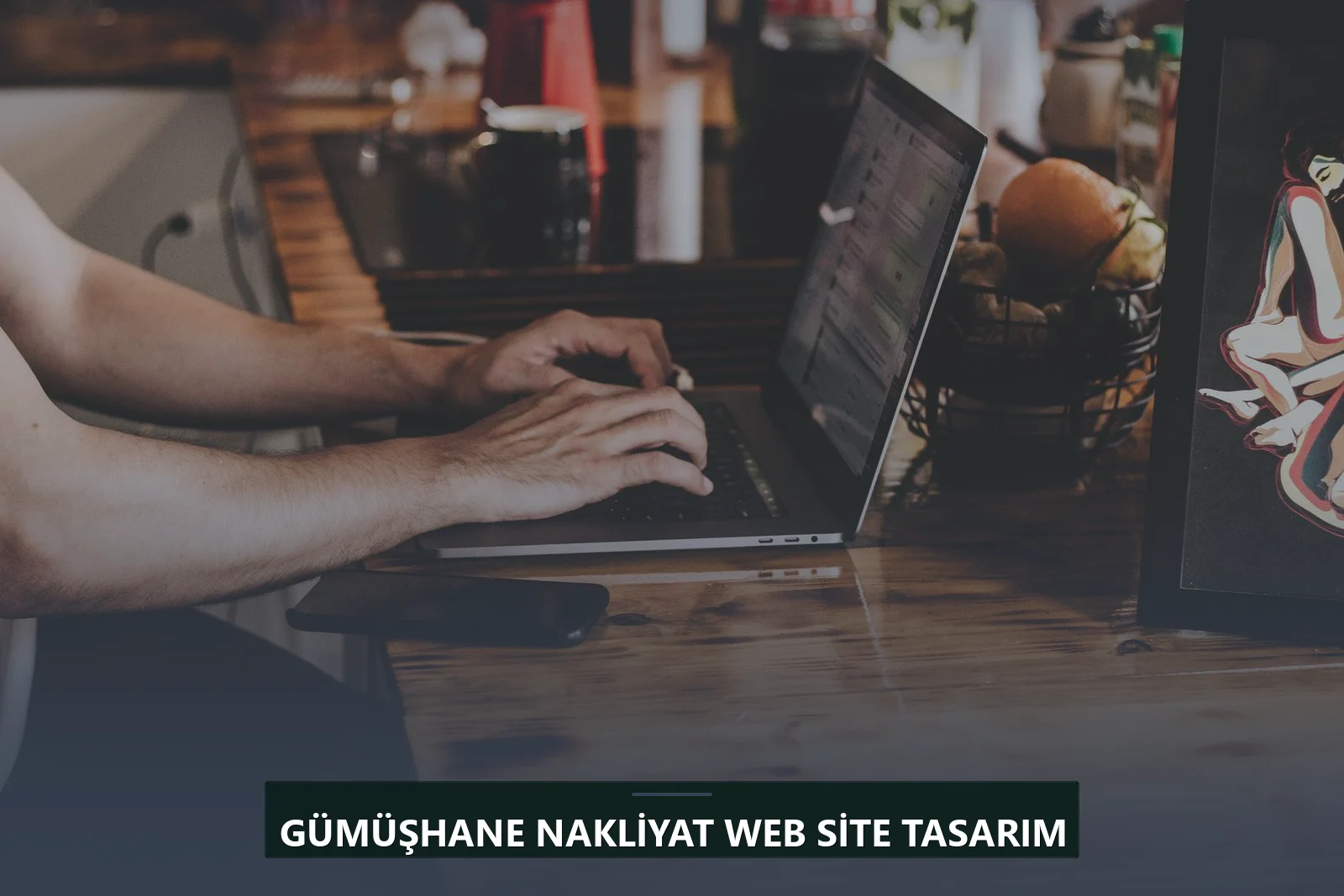 Gümüşhane Nakliyat Web Site Tasarım
