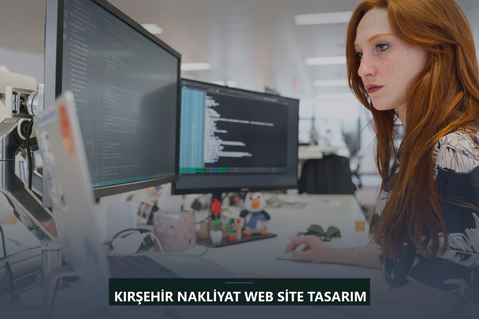 Kırşehir Nakliyat Web Site Tasarım