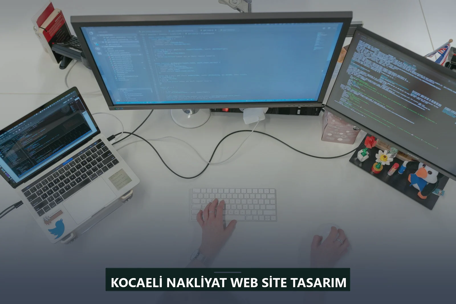 Kocaeli Nakliyat Web Site Tasarım