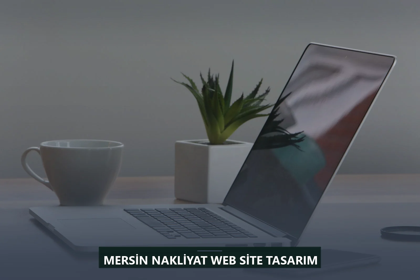 Mersin Nakliyat Web Site Tasarım