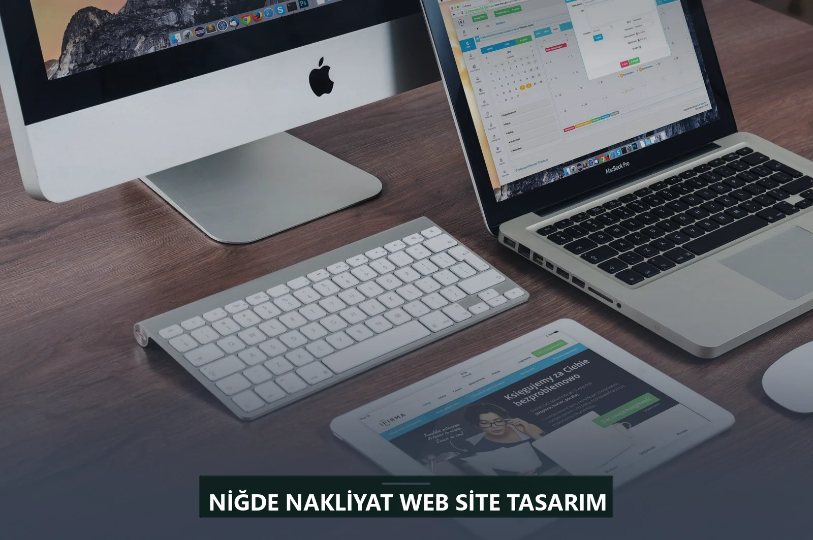 Niğde Nakliyat Web Site Tasarım
