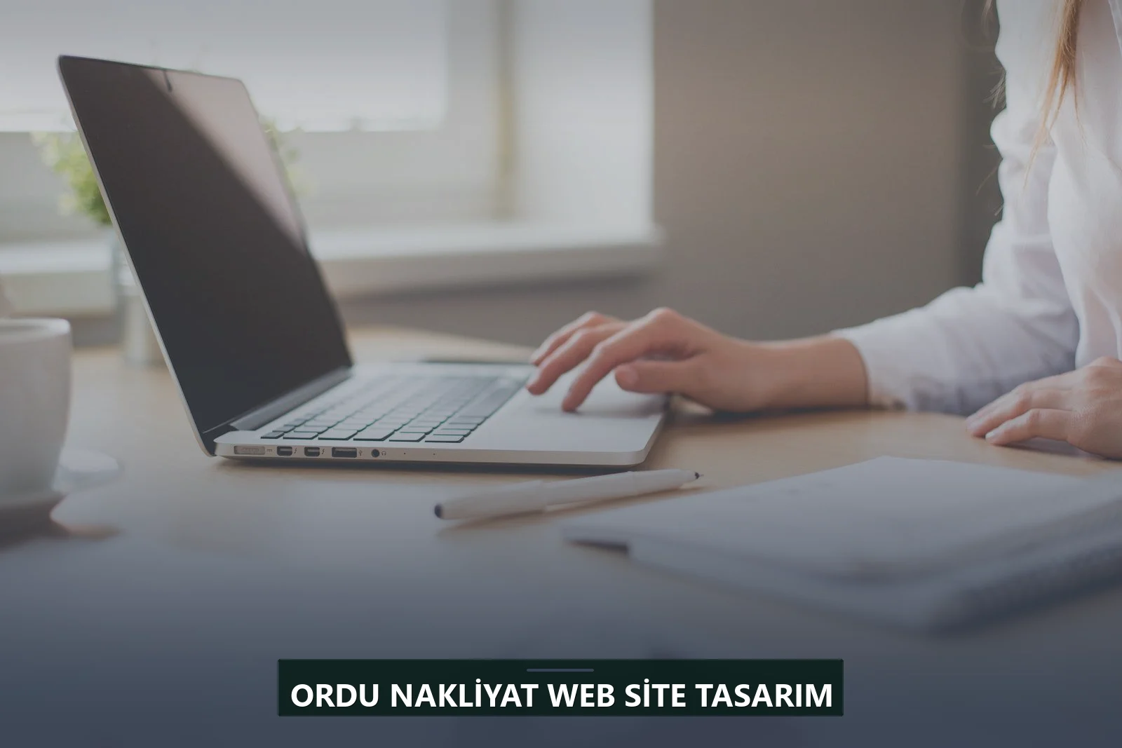 Ordu Nakliyat Web Site Tasarım
