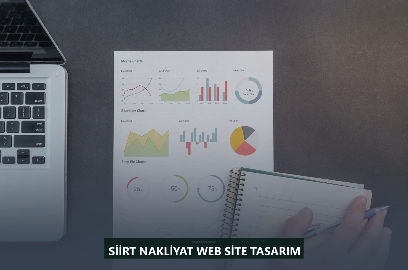 Siirt Nakliyat Web Site Tasarım