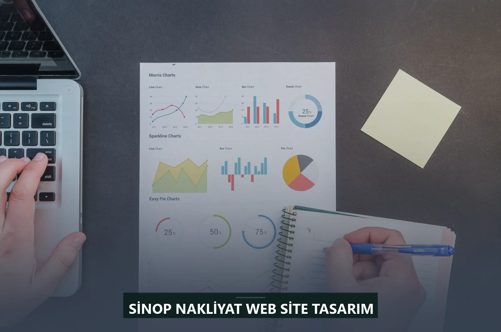 Sinop Nakliyat Web Site Tasarım