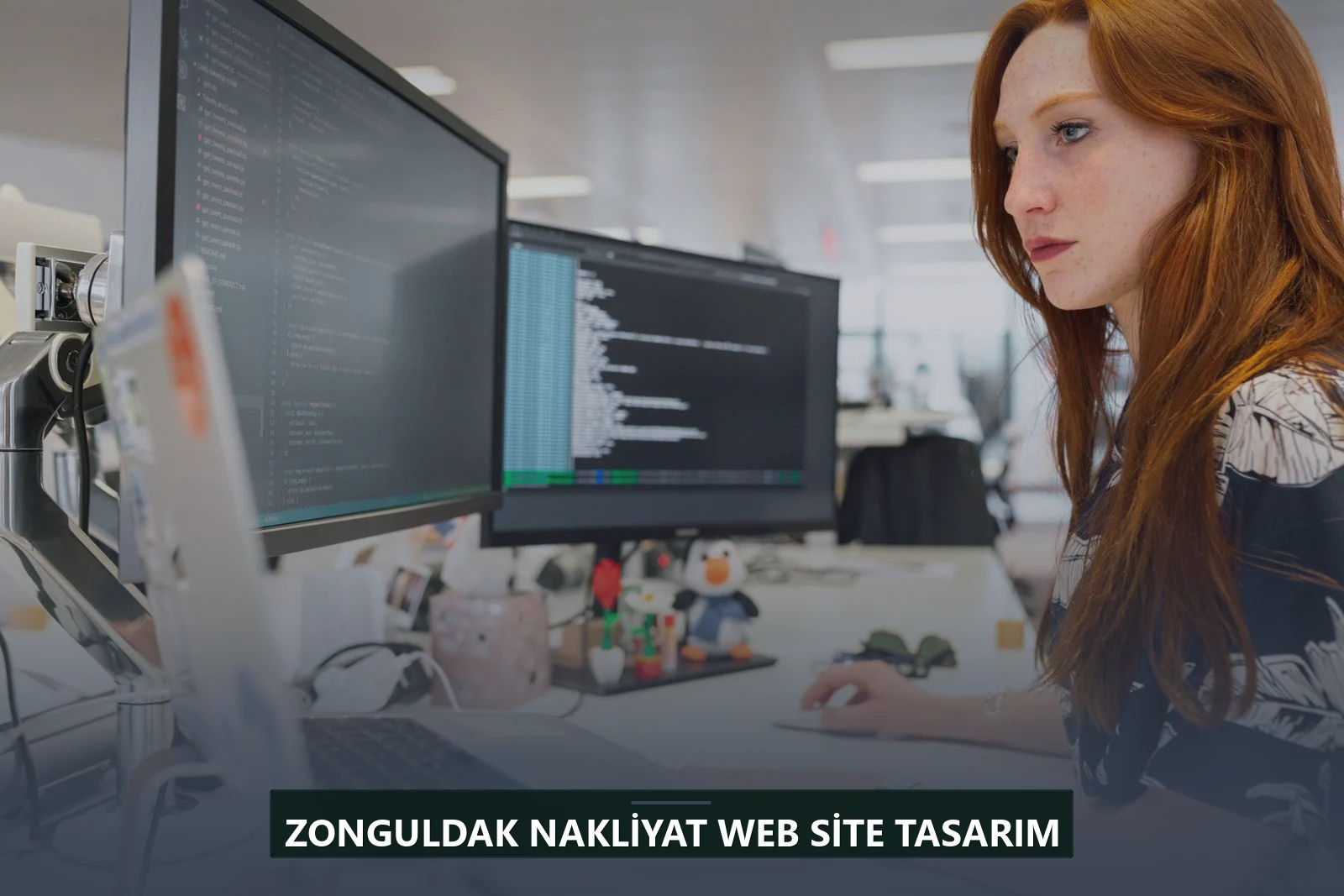 Zonguldak Nakliyat Web Site Tasarım